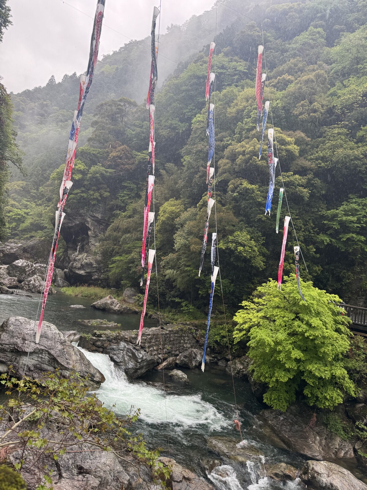 中津渓谷 鲤鱼旗与山谷