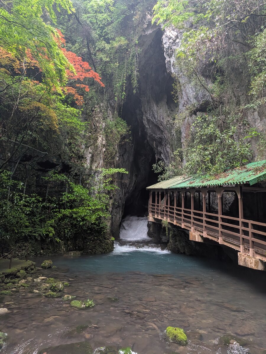 秋芳洞 内部