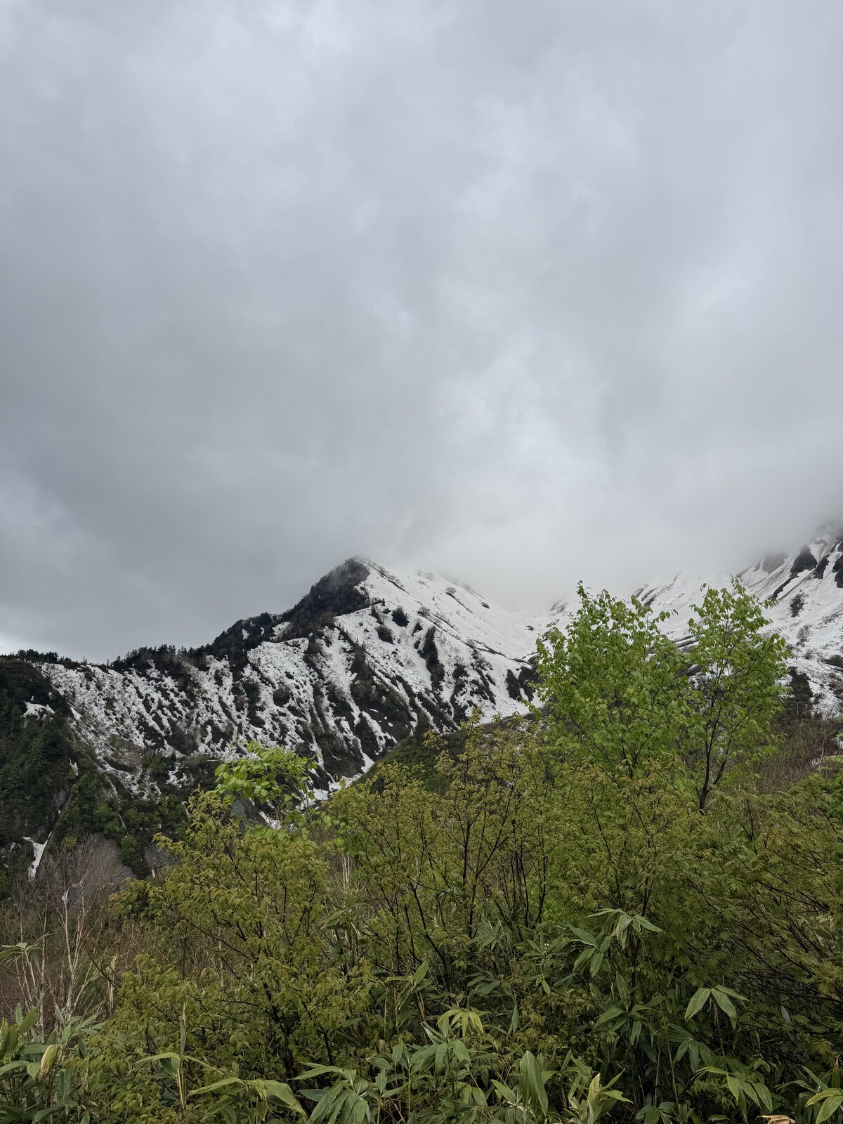 Kurobedaira — snowy mountain view