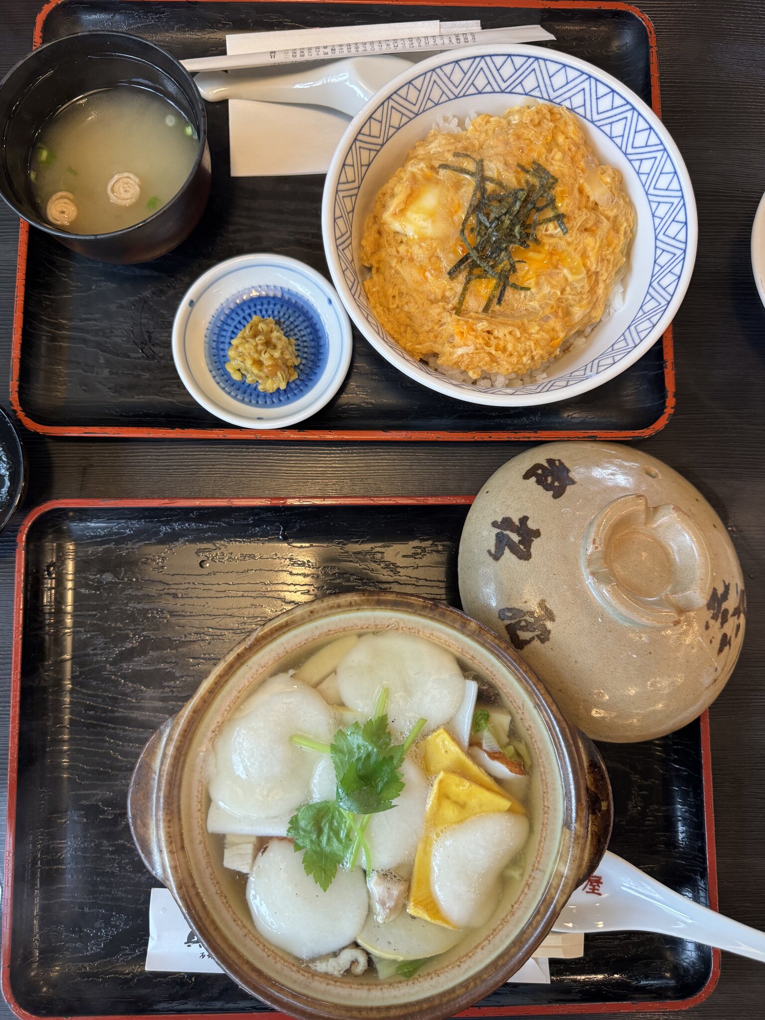 Guzoni and katsudon set