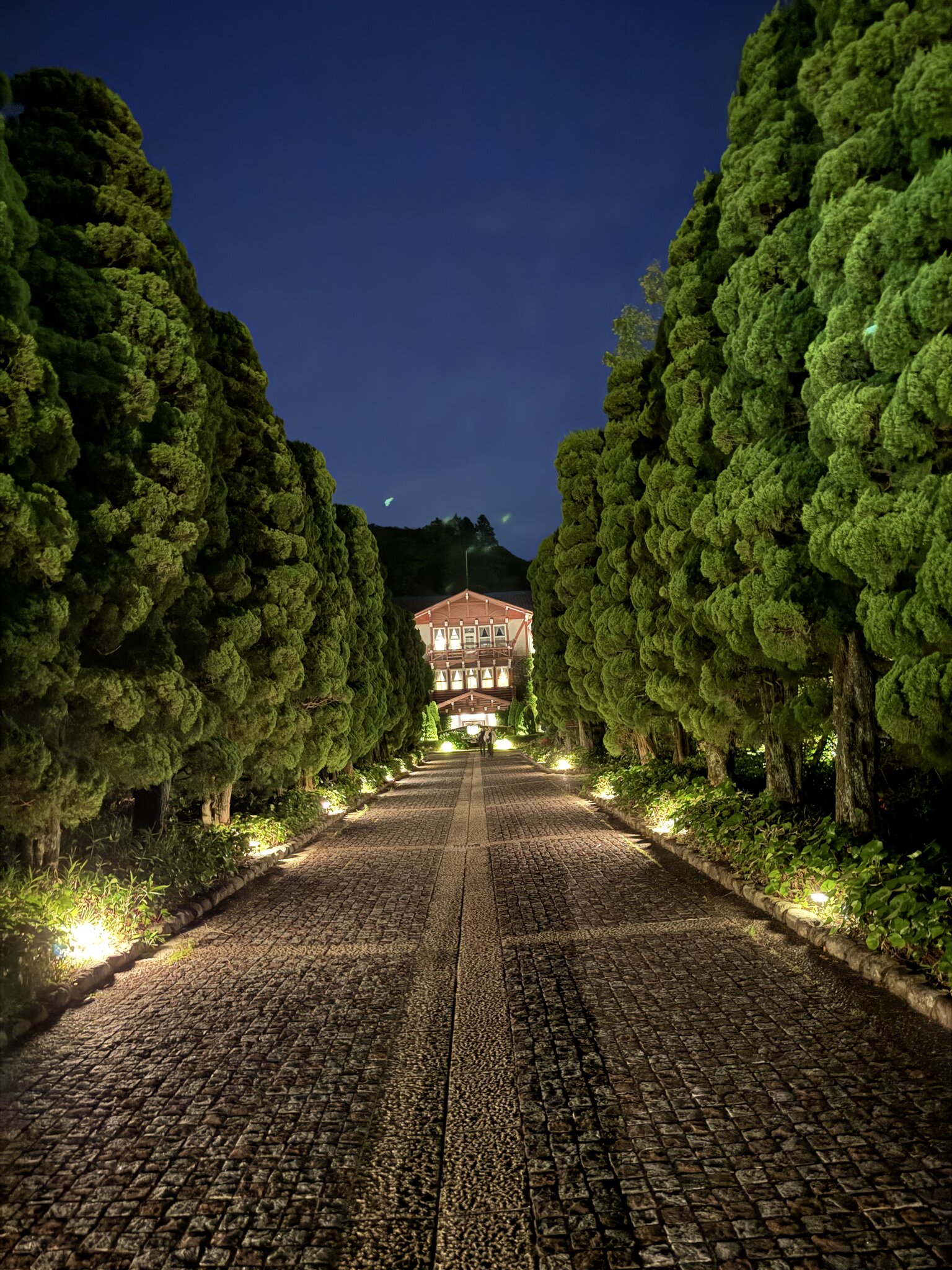 Hotel approach at night