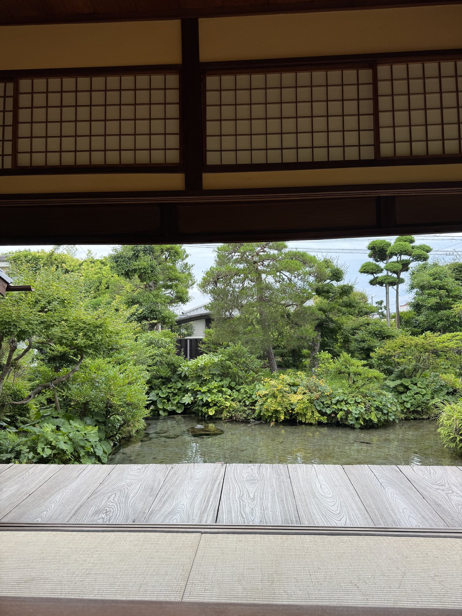 View of the garden