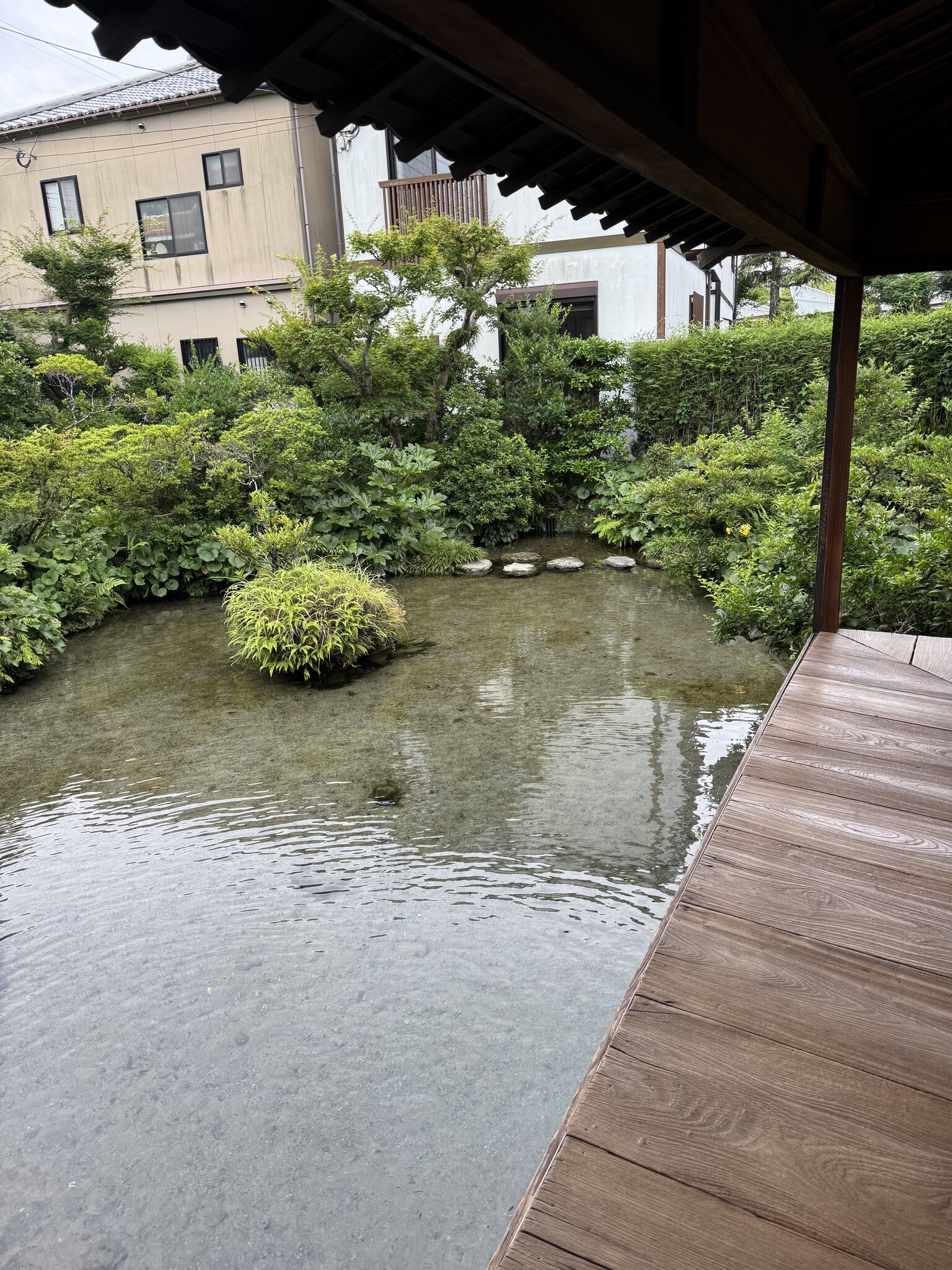 Shimeiso garden pond